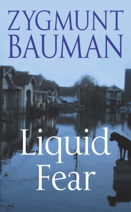 Bauman - Liquid Fear