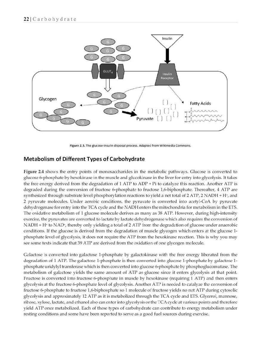 Essentials of Exercise Sport Nutrition Science to Practice - photo 41