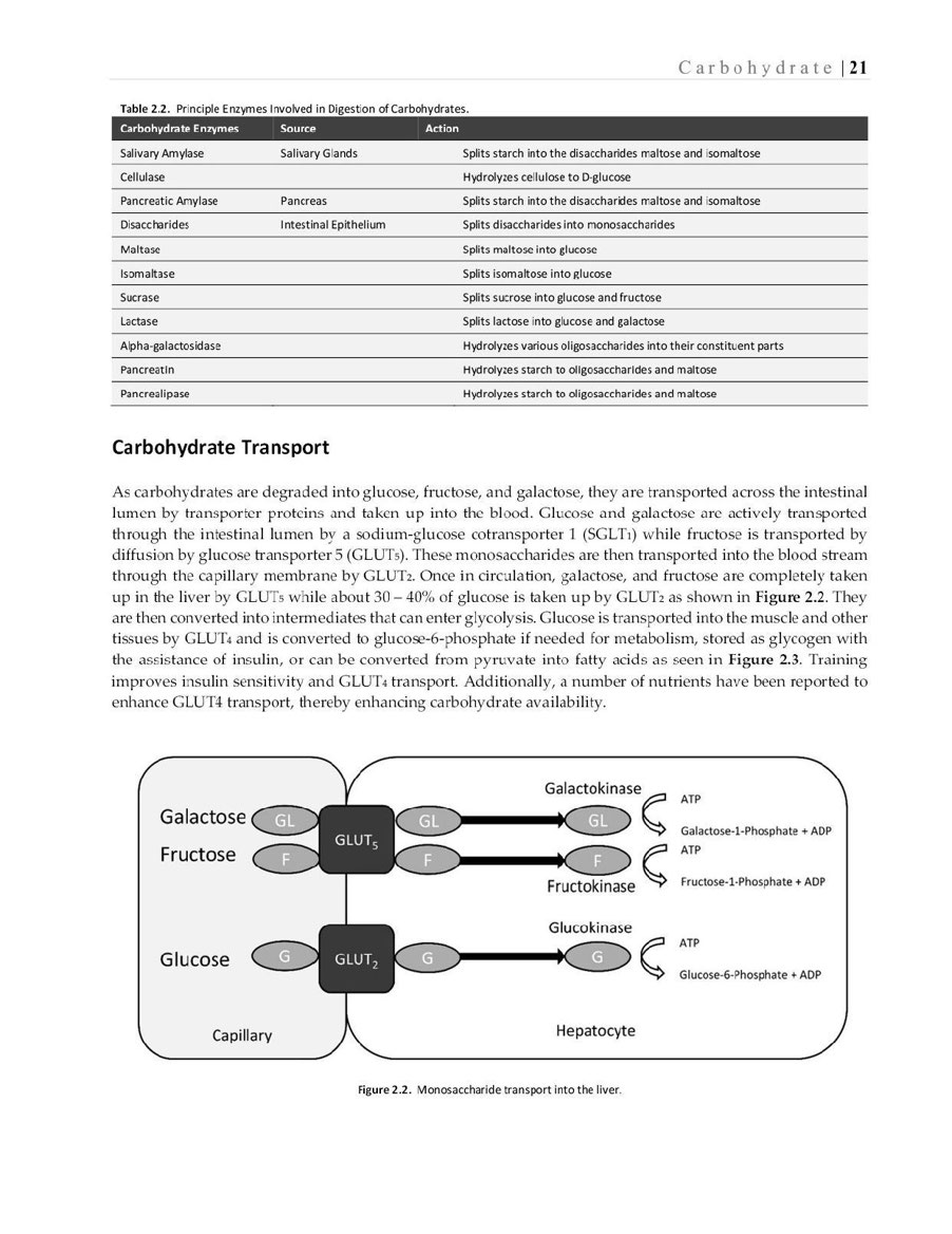 Essentials of Exercise Sport Nutrition Science to Practice - photo 40