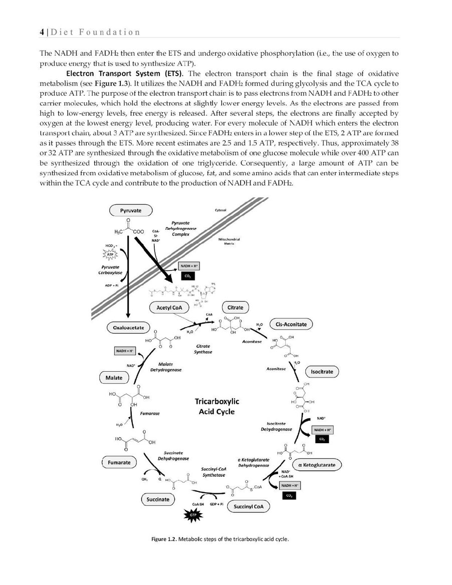 Essentials of Exercise Sport Nutrition Science to Practice - photo 23