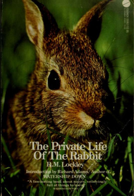 Lockley - The private life of the rabbit : an account of the life history and social behavior of the wild rabbit