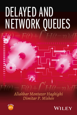 Haghighi Aliakbar Montazer - Delayed and Network Queues