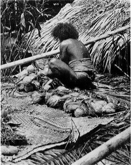 A corpse lies buried in the sand under the coconut matting Pa Rangifuri a man - photo 3