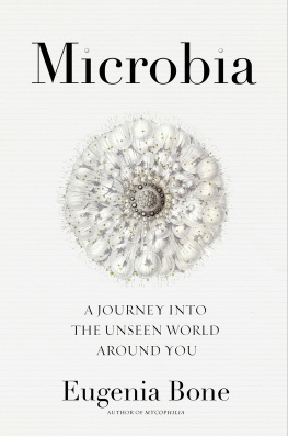 Bone Microbia: a journey into the unseen world around you