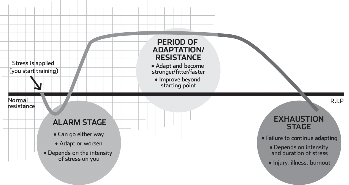 Stress and Adaptation To understand the processes that occur in your body when - photo 4