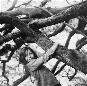 Anjelica in the yew tree at St Clerans age seven T here was a shrine in my - photo 2