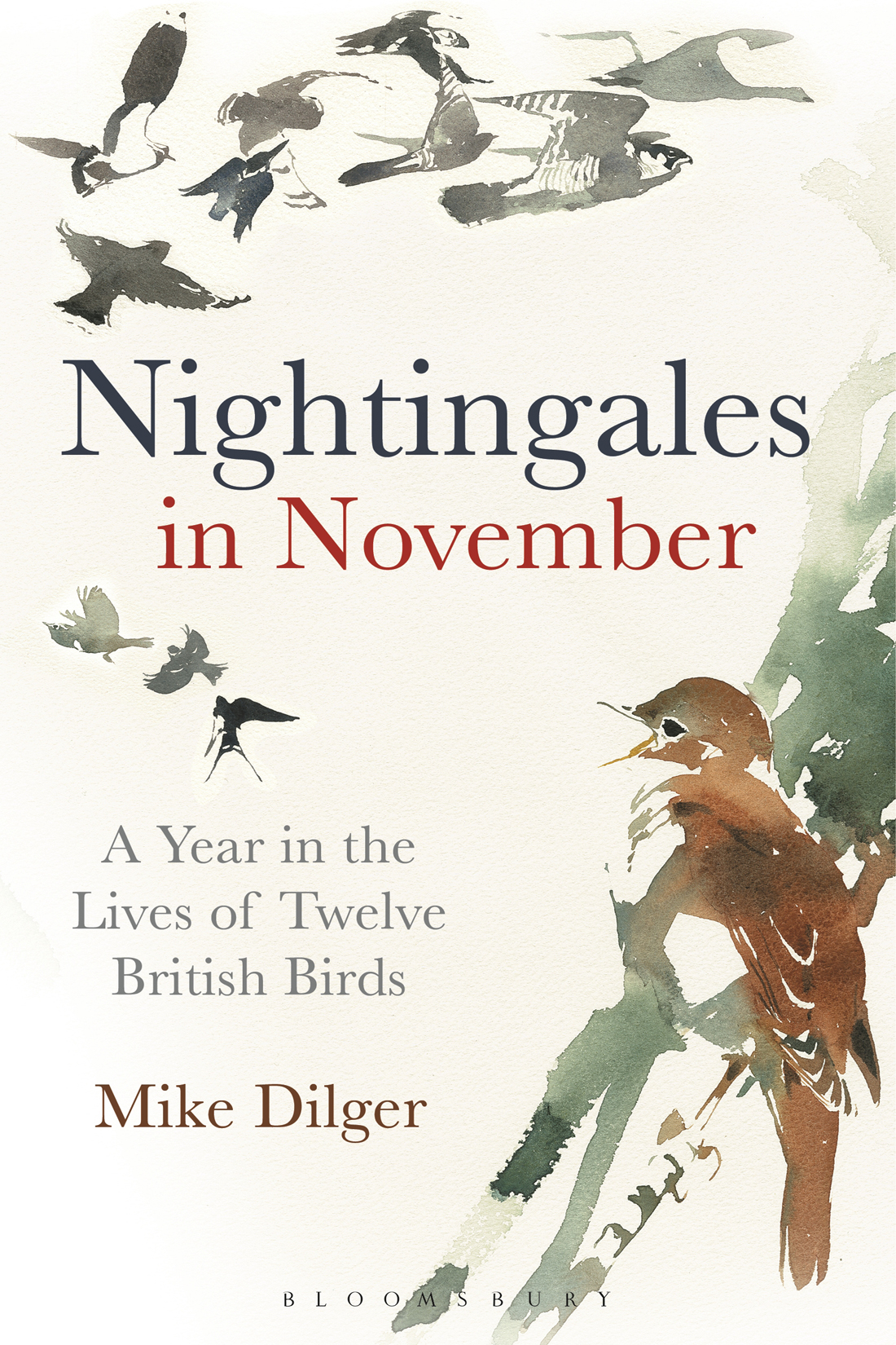 NIGHTINGALES IN NOVEMBER To Zachary for bringing immense joy into our lives - photo 1