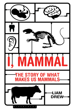 Drew - I, mammal: the story of what makes us mammals