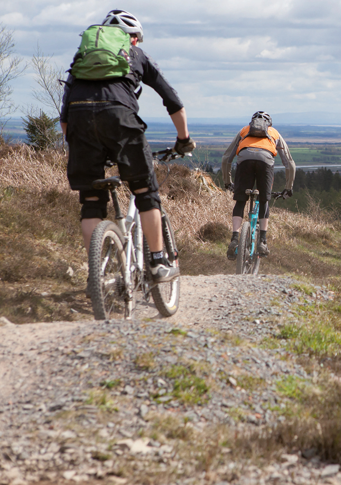 Purpose built trails have been growing in popularity for nearly two decades - photo 1