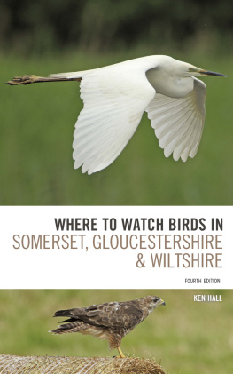 Hall - Where to Watch Birds in Somerset, Gloucestershire and Wiltshire