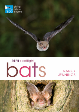 Jennings - RSPB Spotlight Bats