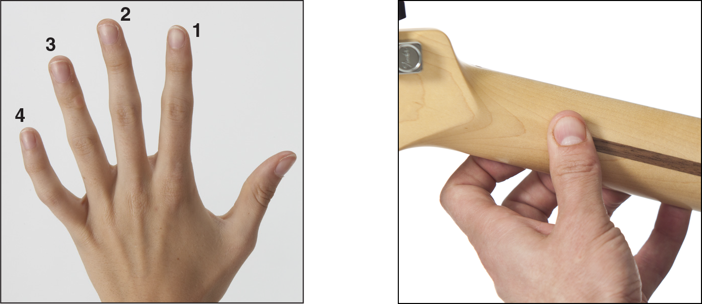 These photos show the position for holding a pick and the right-hand position - photo 12