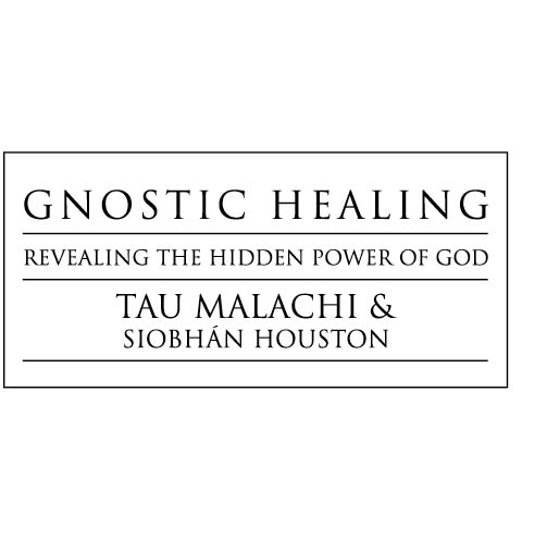 Llewellyn Publications Woodbury Minnesota Gnostic Healing Revealing the - photo 2