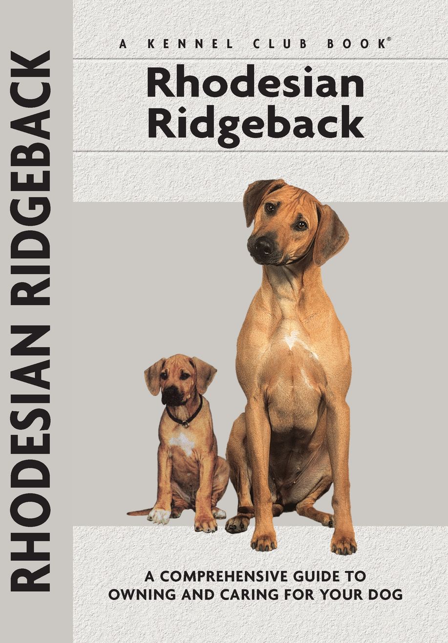 Physical Characteristics of the Rhodesian Ridgeback from the American Kennel - photo 2