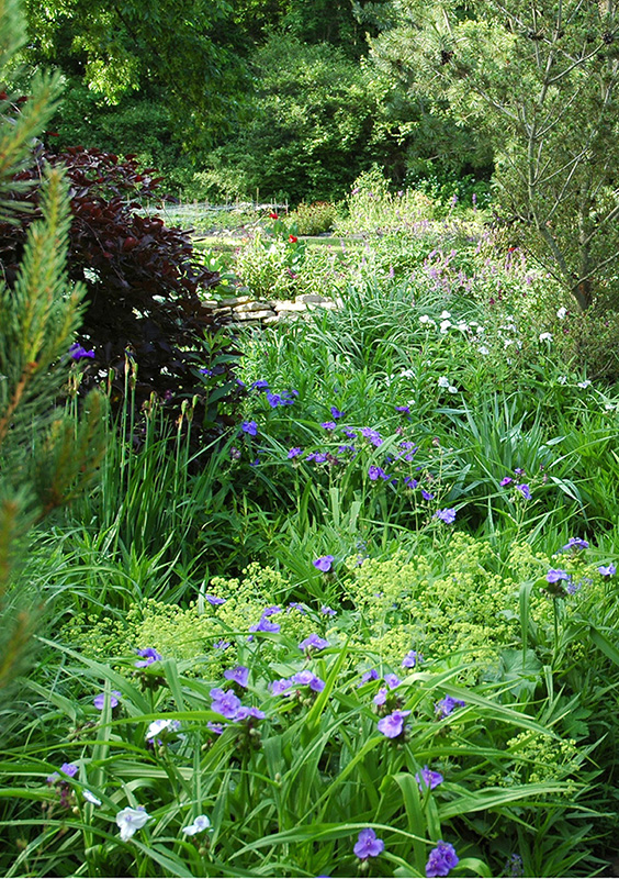 TRACY DISABATO-AUST THE WELL-TENDED PERENNIAL GARDEN THE ESSENTIAL GUIDE TO - photo 1