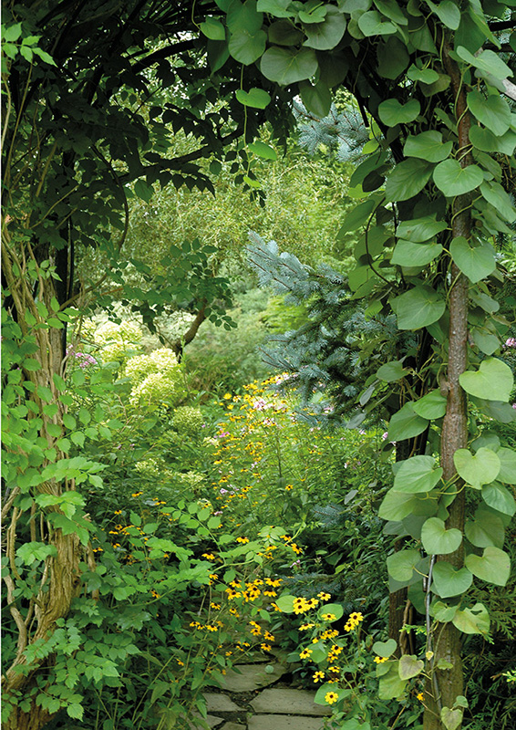 A well-tended garden need not be rigid The arbor entrance to the back gardens - photo 5