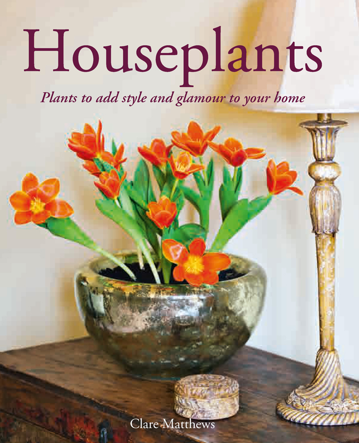 Houseplants Houseplants Plants to add style and glamour to your home - photo 1