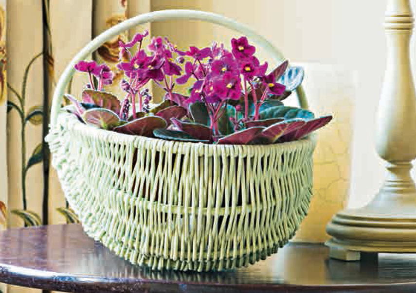 Crammed into a fresh light green basket these African violets have a - photo 9