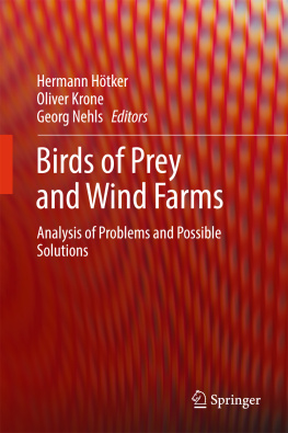 Hötker Hermann Birds of Prey and Wind Farms Analysis of Problems and Possible Solutions