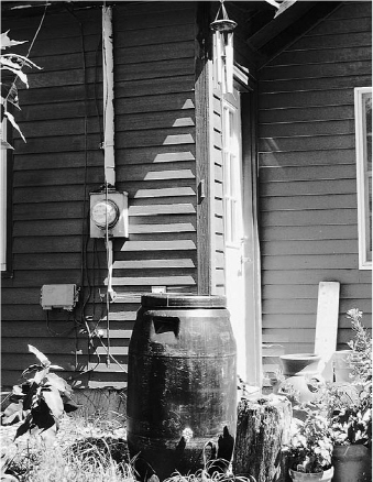 Our rain barrels fill rather quickly and easily and are a good source of water - photo 1