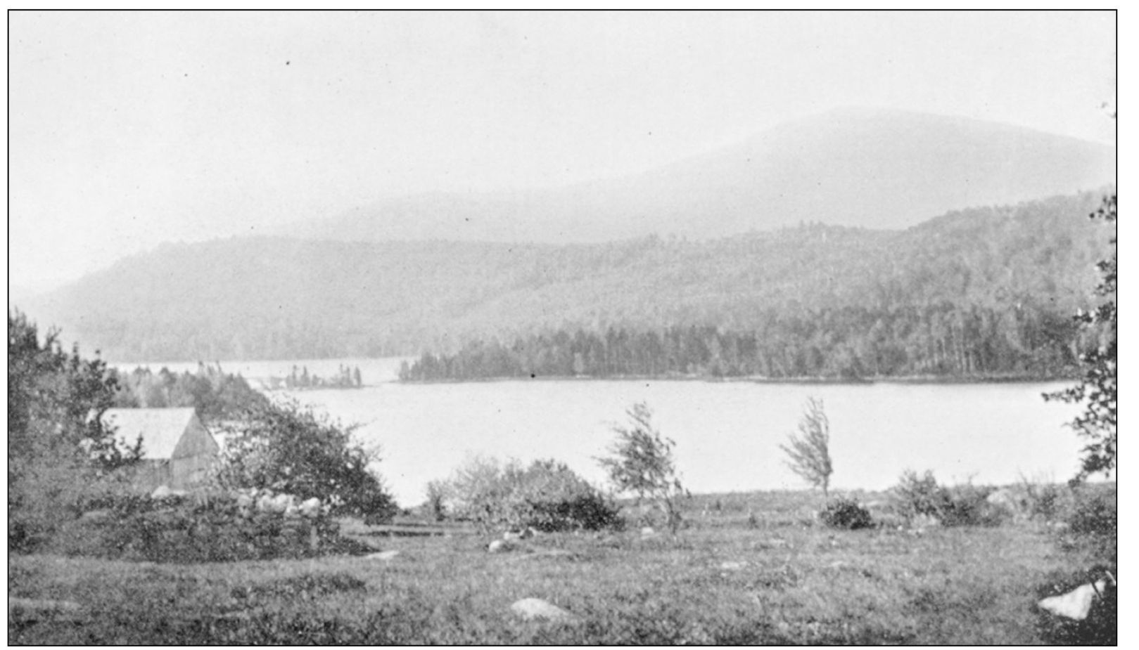 BRADLEY POND 169 ACRES ANDOVER This natural pond was raised by damming As - photo 8