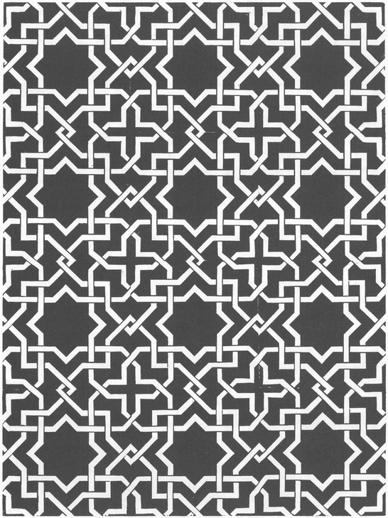 376 Decorative Allover Patterns from Historic Tilework and Textiles - photo 17