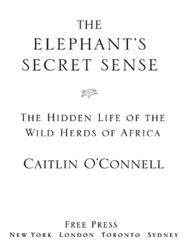 Caitlin OConnell - The elephants secret sense: the hidden life of the wild herds of africa