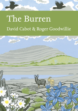 Brown Martin - The Burren