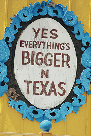 TEXAS PRIDE Since the seat of Mexican authority was distant the new Texans - photo 4