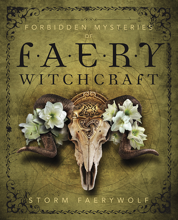 About the Author Storm Faerywolf is a professional author experienced teacher - photo 1