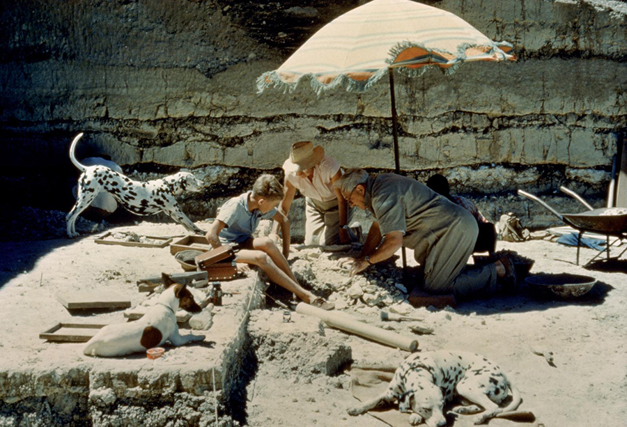 Louis and Mary Leakey with their son and two dogs inspect the campsite of an - photo 13