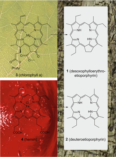 Fig 1 The molecular fossils and produced from the natural products and the - photo 3