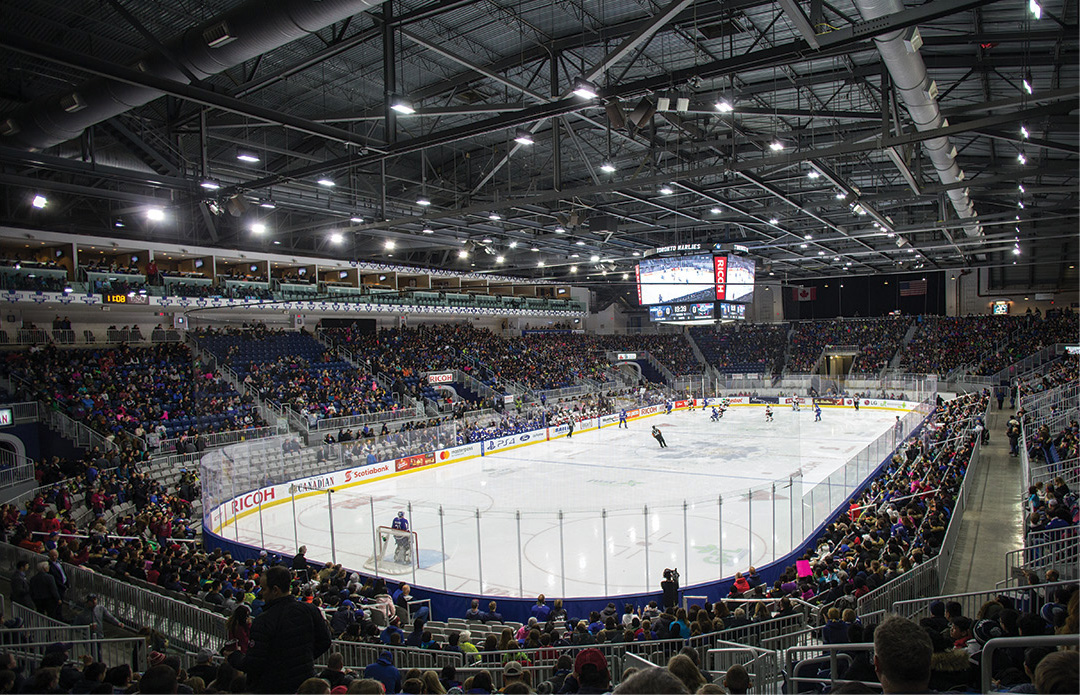 45 MANITOBA DR 4162633900 Home ice of the Toronto Marlies the Leafs AHL - photo 8