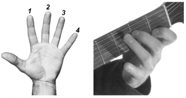 Technical Issues for Beginners Ironically the first chords that are often - photo 3