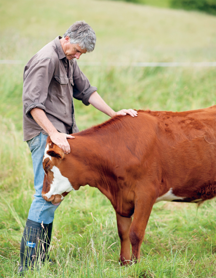 The Gourmet Farmer Deli Book Dairy - photo 6