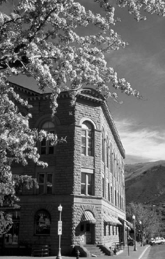 Tree blossoms frame the historic Wheeler Opera House Burnham W Arndt - photo 3