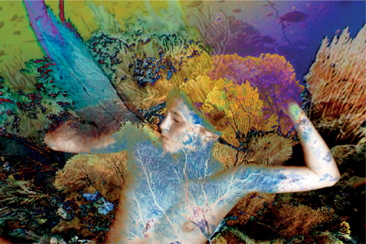 Sylvie Covey Into the Sea 4b digital print on canvas Following an initial - photo 8