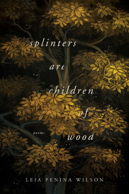Wilson - Splinters Are Children of Wood