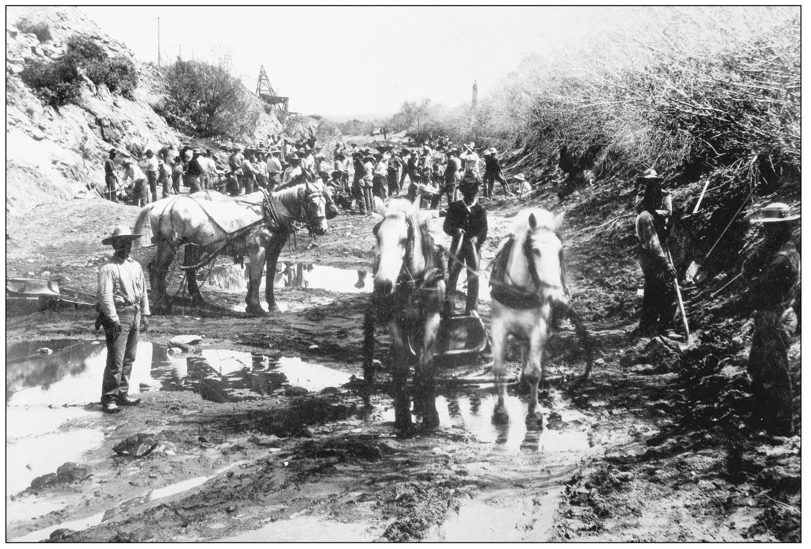 Because of the growth of weeds and tree roots in and along the Arizona Canal - photo 4