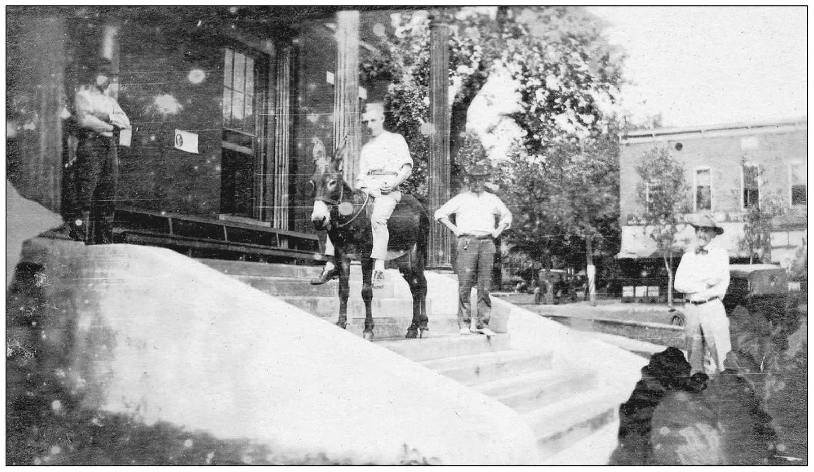 A mule is standing on the courthouse steps in the early 1900s ridden by Weed - photo 4