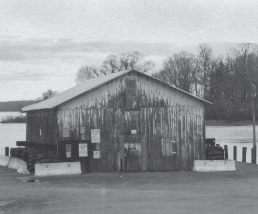 The wharf at Turners Creek has been used since the eighteenth century and the - photo 3