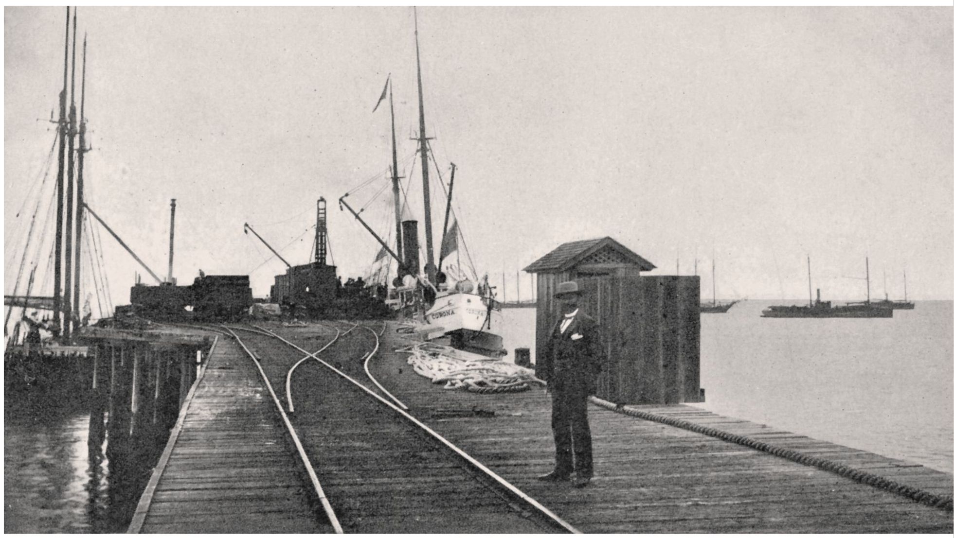 This photograph from December 21 1892 shows the great McFadden Wharf in full - photo 14