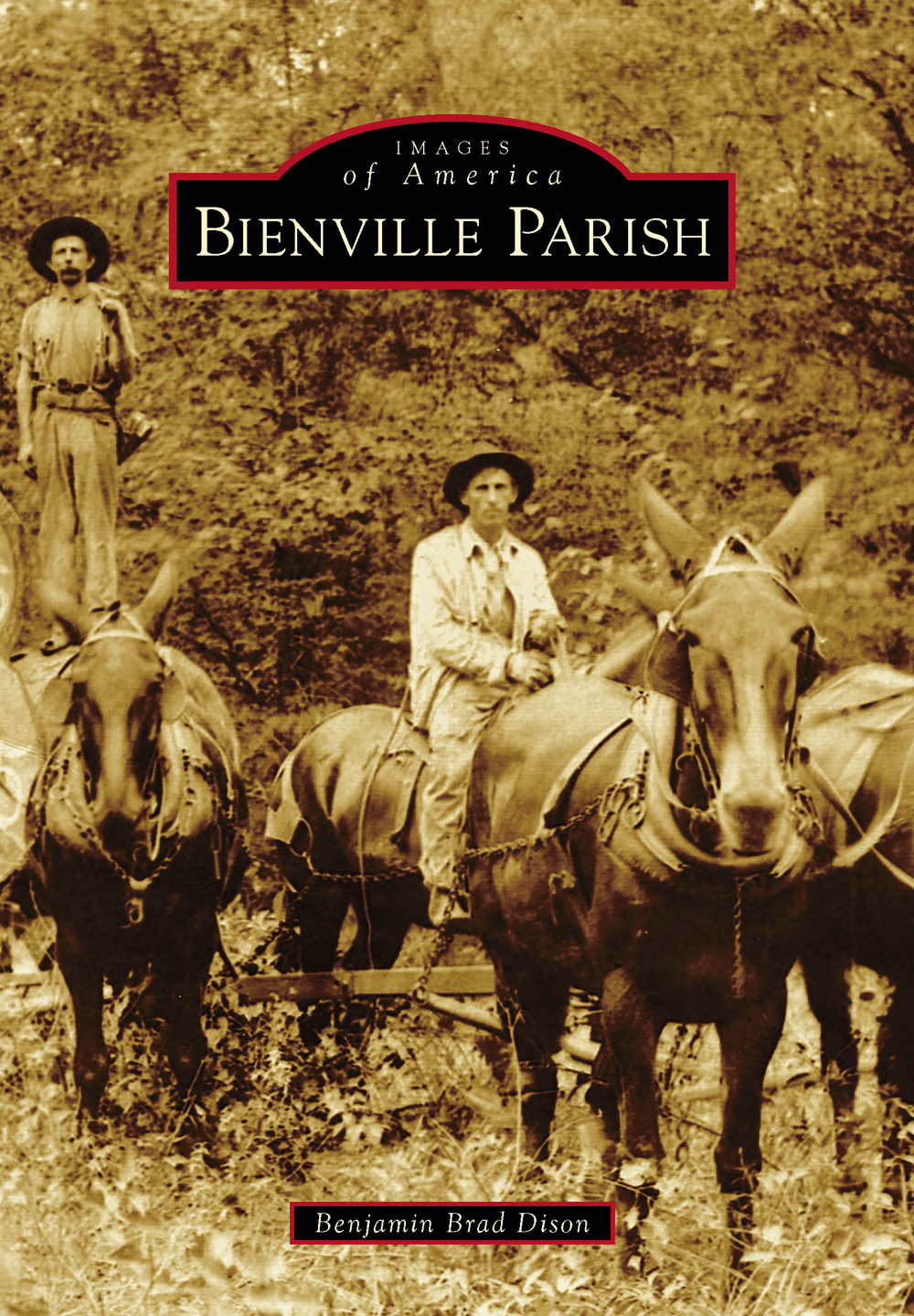 IMAGES of America BIENVILLE PARISH Bienville Parish in northwest - photo 1