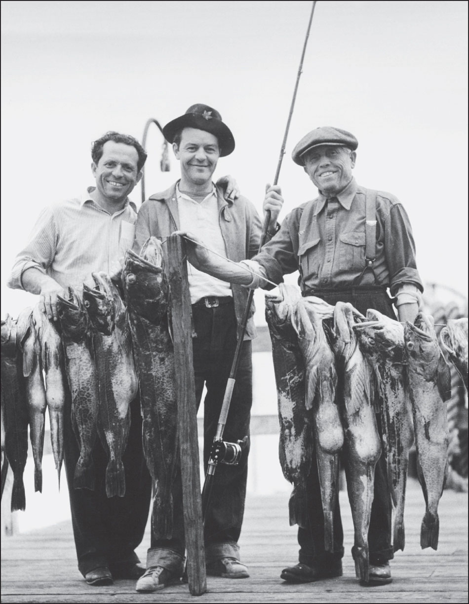 This large string of lingcod was caught off the coast of Santa Cruz and - photo 2