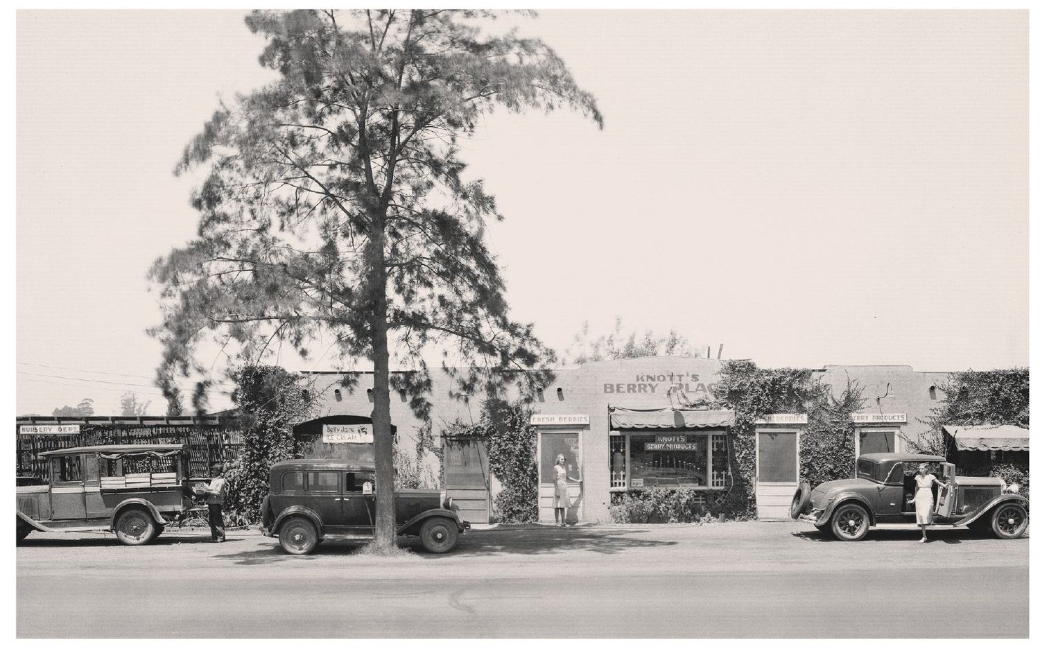 This is the old California Alligator Farm as it looked in 1955 It started as - photo 5