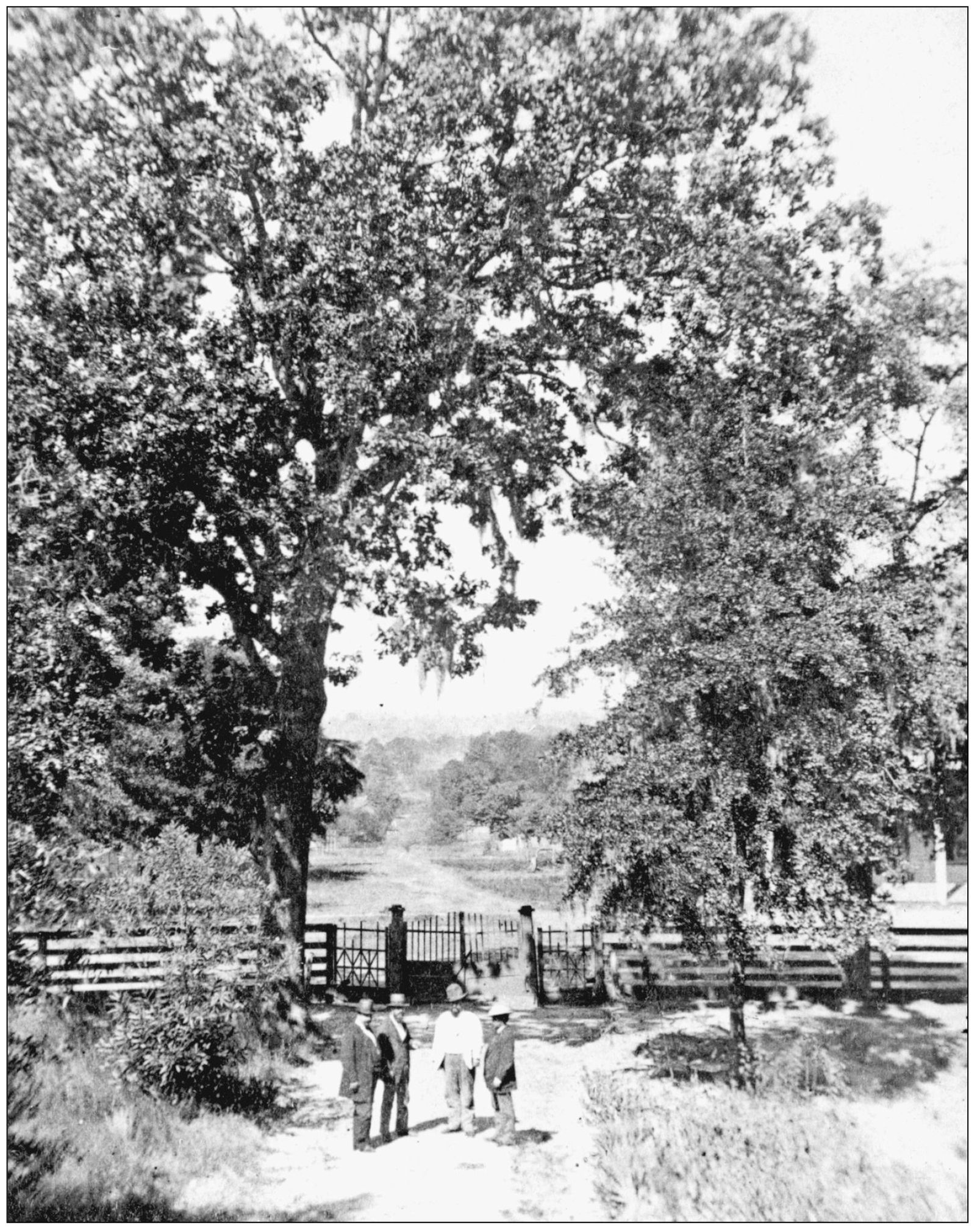 VIEW OF TALLAHASSEE FROM THE EAST STEPS OF THE CAPITOL BUILDING C 18751880 - photo 5