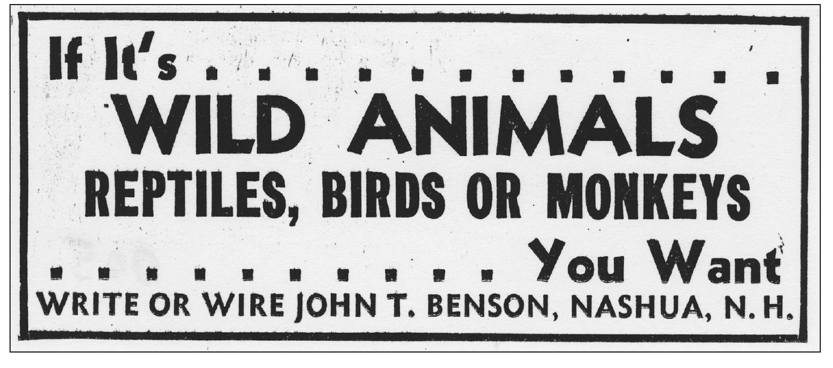 Here is an early John T Benson advertisement placed from his newly acquired - photo 5