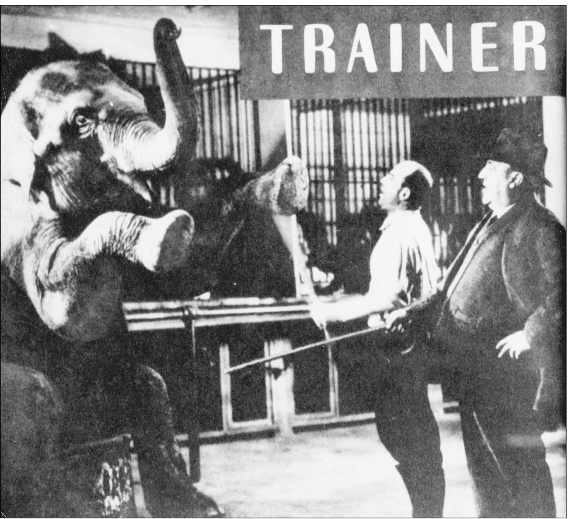 In a magazine article it was said that John T Benson is the man who trains - photo 7