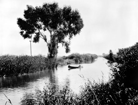 The Arizona Canal Note lush vegetation along the canal Photographer unknown - photo 3