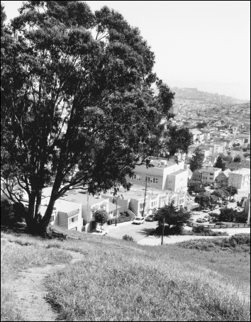 Where the country meets the village This is the view from Billy Goat Hill - photo 5